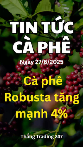 Tin Tức Cà Phê 27.6: Cà Phê Robusta Tăng Mạnh 4%.

