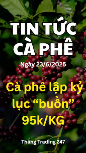 Tin Tức Cà Phê 23/6: Cà Phê Lập Kỷ Lục "Buồn" 95k/