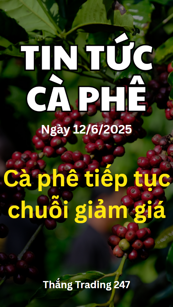 Tin Tức Cà Phê 12/6: Chuỗi Giảm Vẫn Kéo Dài.

Foll