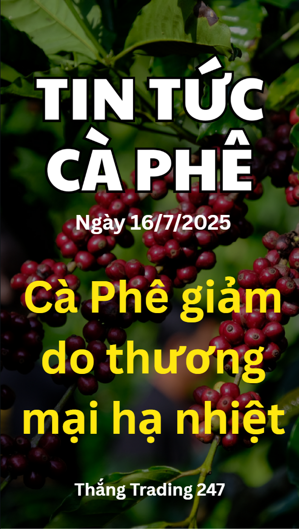 Tin Tức Cà Phê 16.7: Cà Phê Giảm Do Căng Thẳng Thư