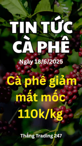 Tin Tức Cà Phê 18/6: Cà Phê Giảm, Có Nơi Mất Mốc 1