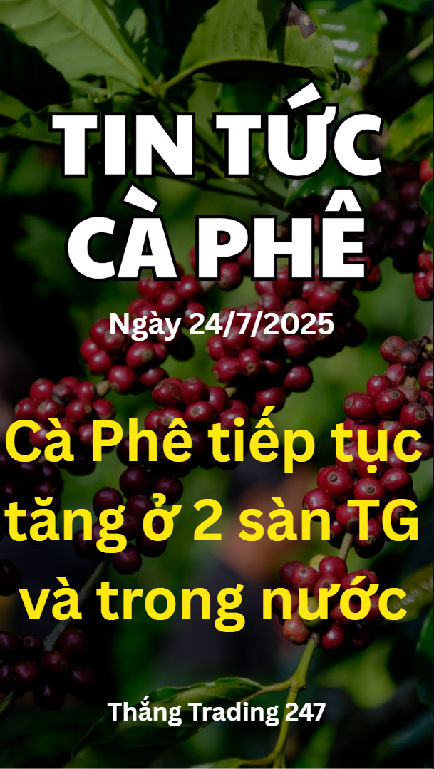 Tin Tức Cà Phê 24.7: Cà Phê Tiếp Tục Tăng Ở 2 Sàn 