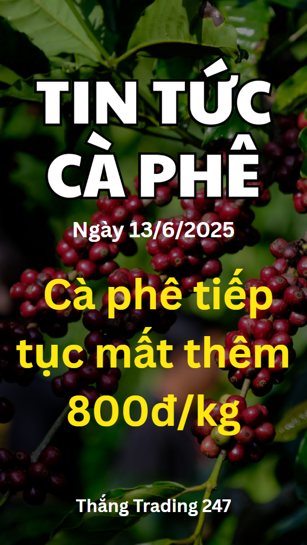 Tin Tức Cà Phê 13/6: Cà Phê Tiếp Tục Mất Thêm 800đ