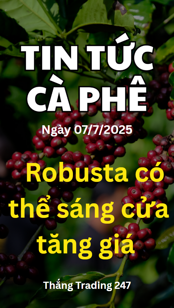 Tin Tức Cà Phê 7/7: Robusta Có Thể Sáng Cửa Tăng.
