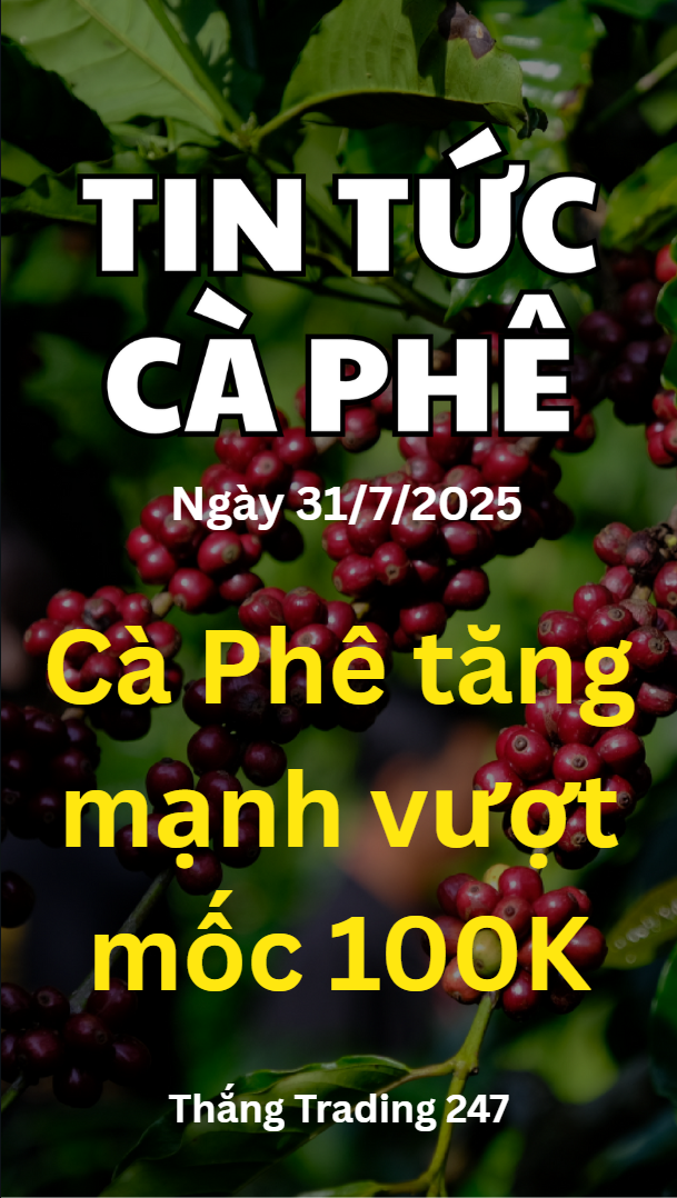 Tin Tức Cà Phê 31.7: Cà Phê Tăng Mạnh Vượt Mốc 100