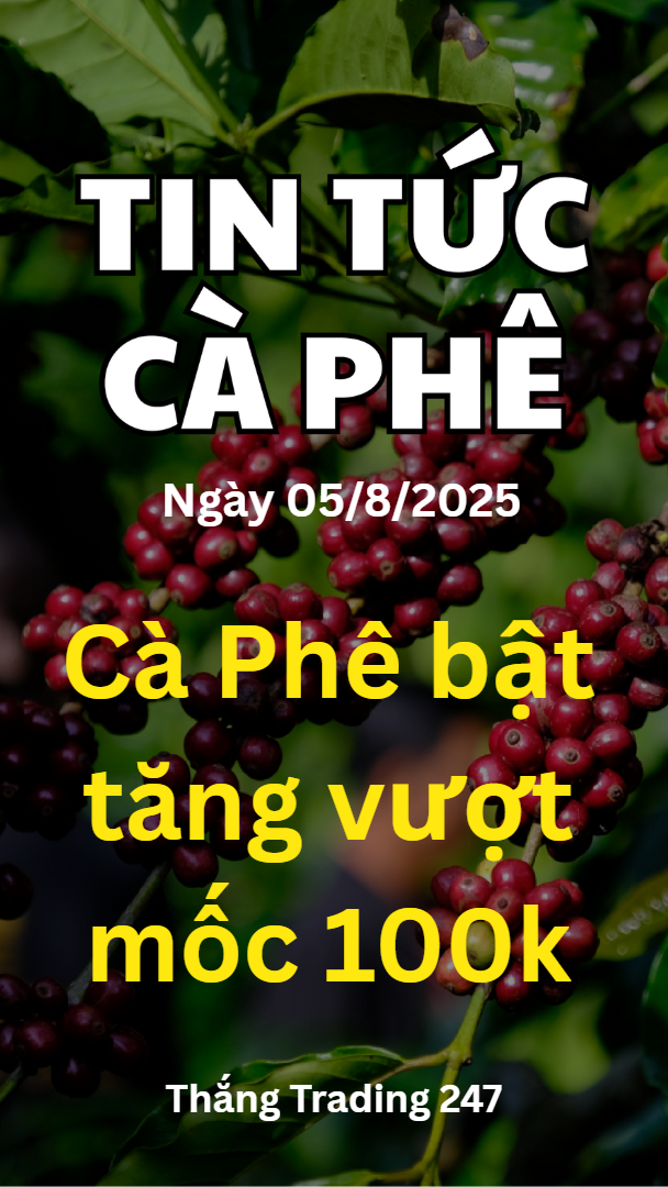 Tin Tức Cà Phê 05.8: Cà Phê Bật Tăng Vượt Mốc 100K