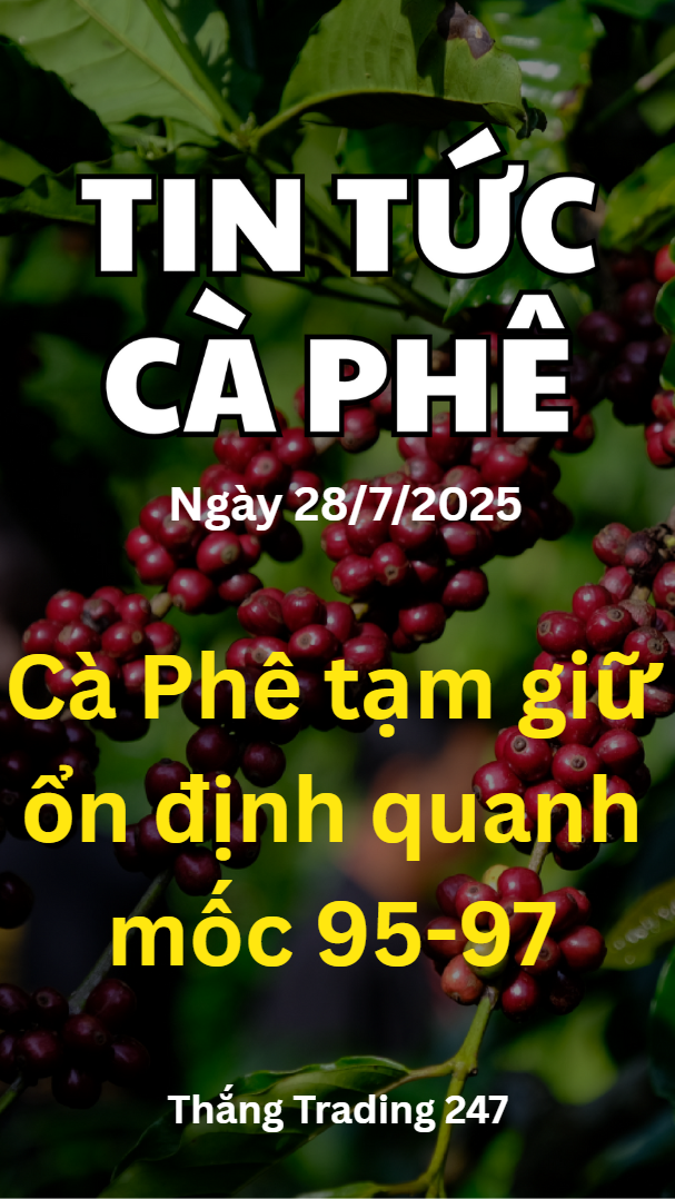 Tin Tức Cà Phê 28.7: Cà Phê Tạm Giữ Ổn Định Quanh 