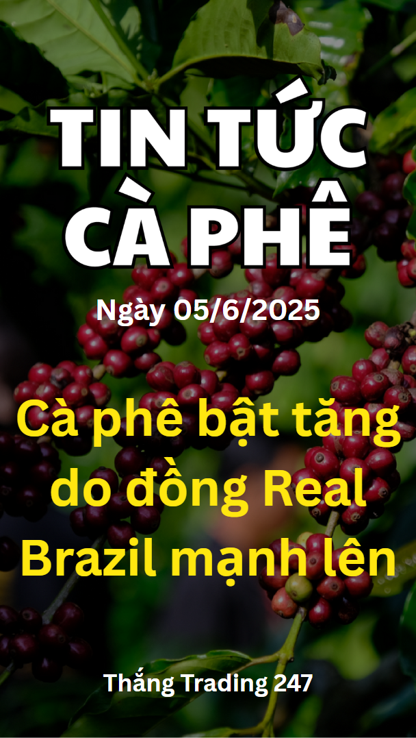Tin Tức Cà Phê 05/6: Cà phê bật tăng do đồng Real 