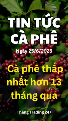 Tin Tức Cà Phê 25/6: Cà Phê Thấp Nhất Trong 13 Thá