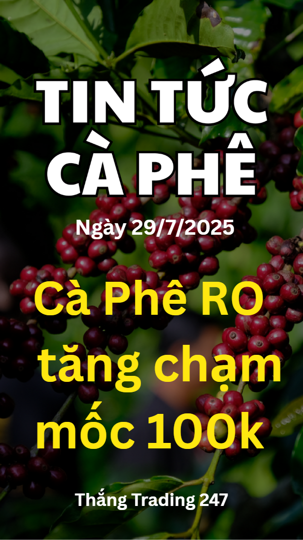 Tin Tức Cà Phê 29.7: Cà Phê RO Tăng Chạm Mốc 100k.