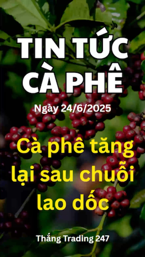 Tin Tức Cà Phê Ngày 24.6: Cà Phê Tăng Lại Sau Chuỗ
