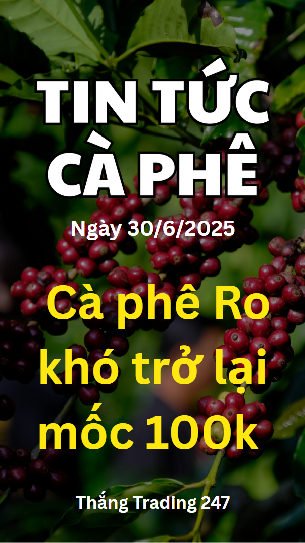 Tin Tức Cà Phê 30.6: Cà Phê Khó Trở Lại Mốc 100k/K