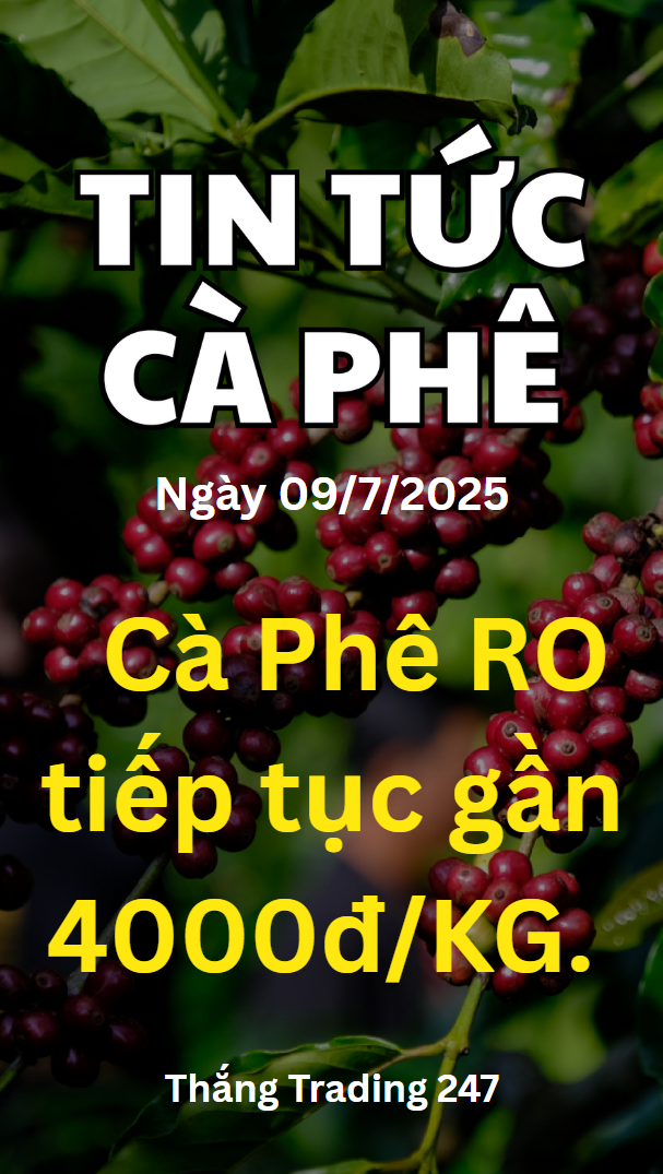 Tin Tức Cà Phê 09.7: Cà Phê Trong Nước Tiếp Tục Gi