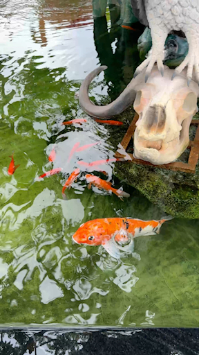 -
Trong đôi mắt em là ngàn vì tinh tú
Nhưng cái tô