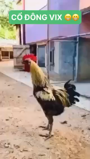 ANH EM XÔNG LÊN 🤭