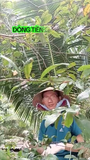 DÒNG TIỀN CHỨNG KHOÁN DỊP CẬN TẾT
Team Phòng mạch 