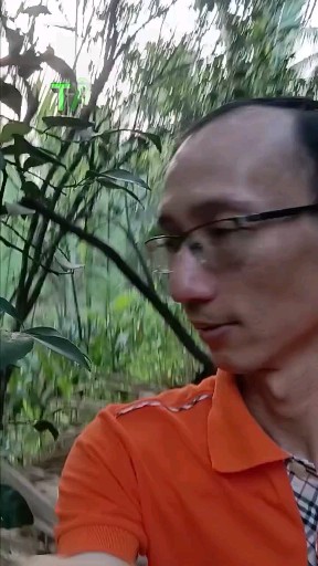 TÂM LÝ ĐỔ LỖI TRONG ĐẦU TƯ
