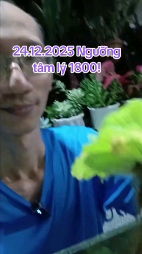 CII NGÀY THỨ 140
HÔM NAY CHỐT LÃI 20% HÀNG VHM (GI