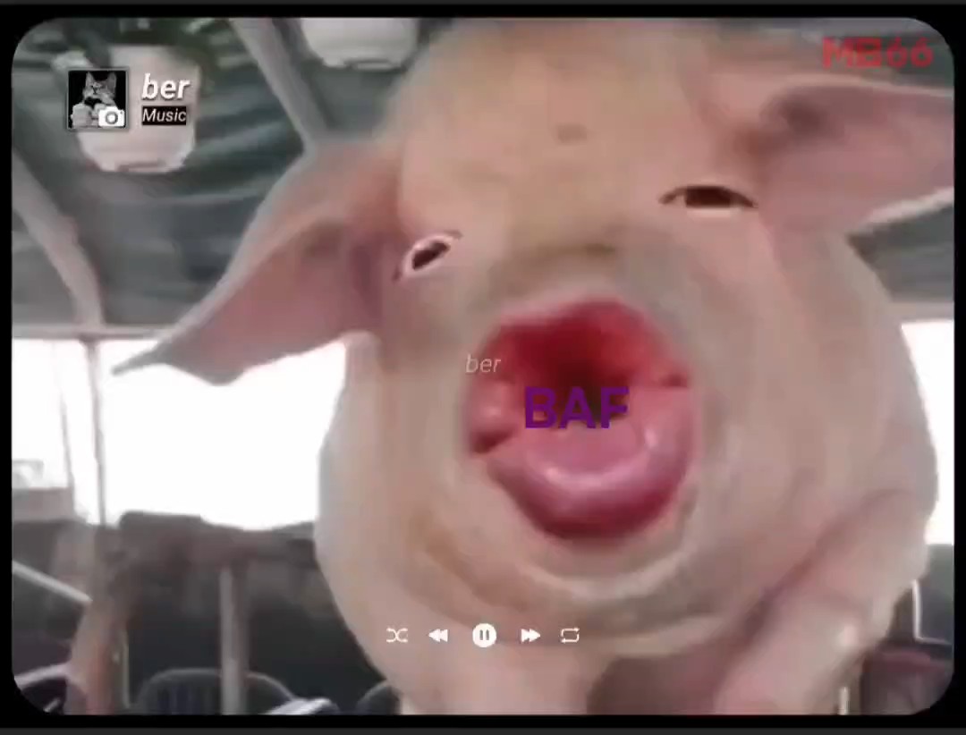 Chúc mừng cổ đông BAF nhẫn nhịn bao lâu nay :))
Mấ
