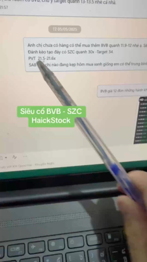 Siêu phiếu BVB và SZC - Haick Stock #kinhdoanh #ki