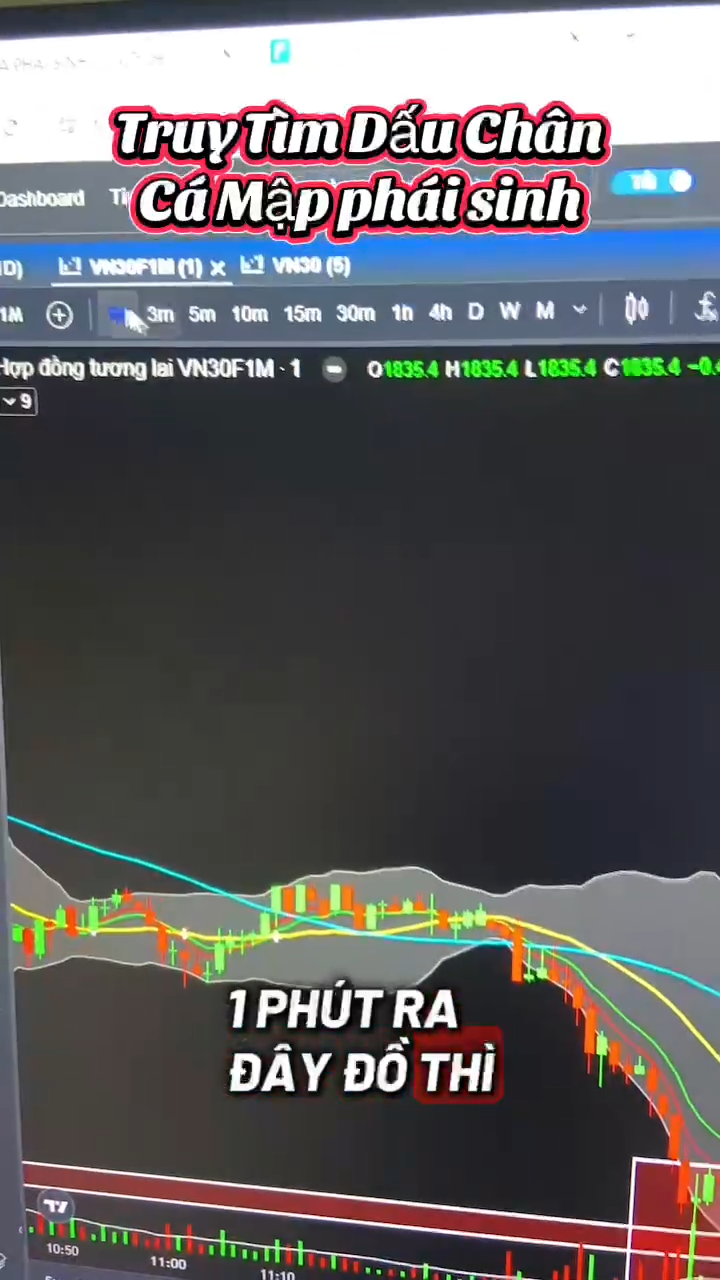 THỰC CHIẾN TRUY TÌM DẤU CHÂN CÁ MẬP PHÁI SINH.
ib 