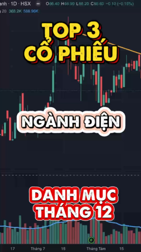 TỌP 3 CÔ PHIÊU PHÁI CÓ TRONG DANH MỤC
ĐẦU TƯ THÁNG