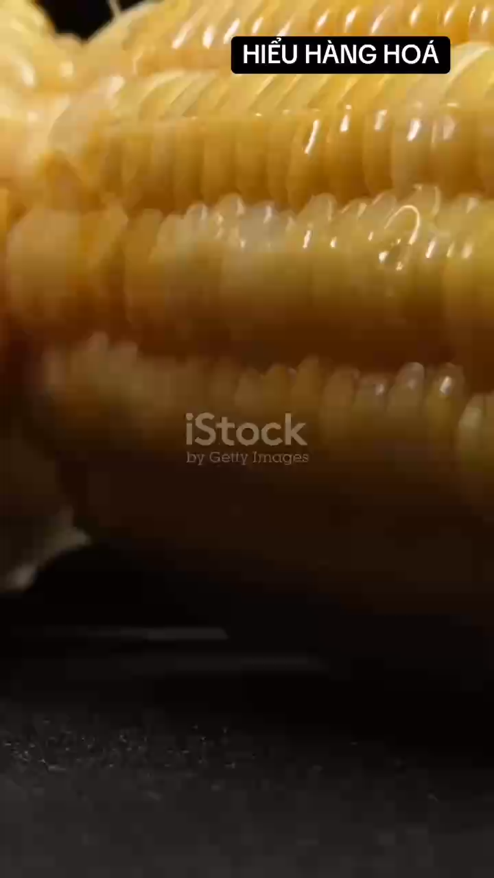 🔥CÓ THỂ BẠN CHƯA BIẾT 🔥
HẠT NGÔ TUY NHỎ BÉ NHƯNG