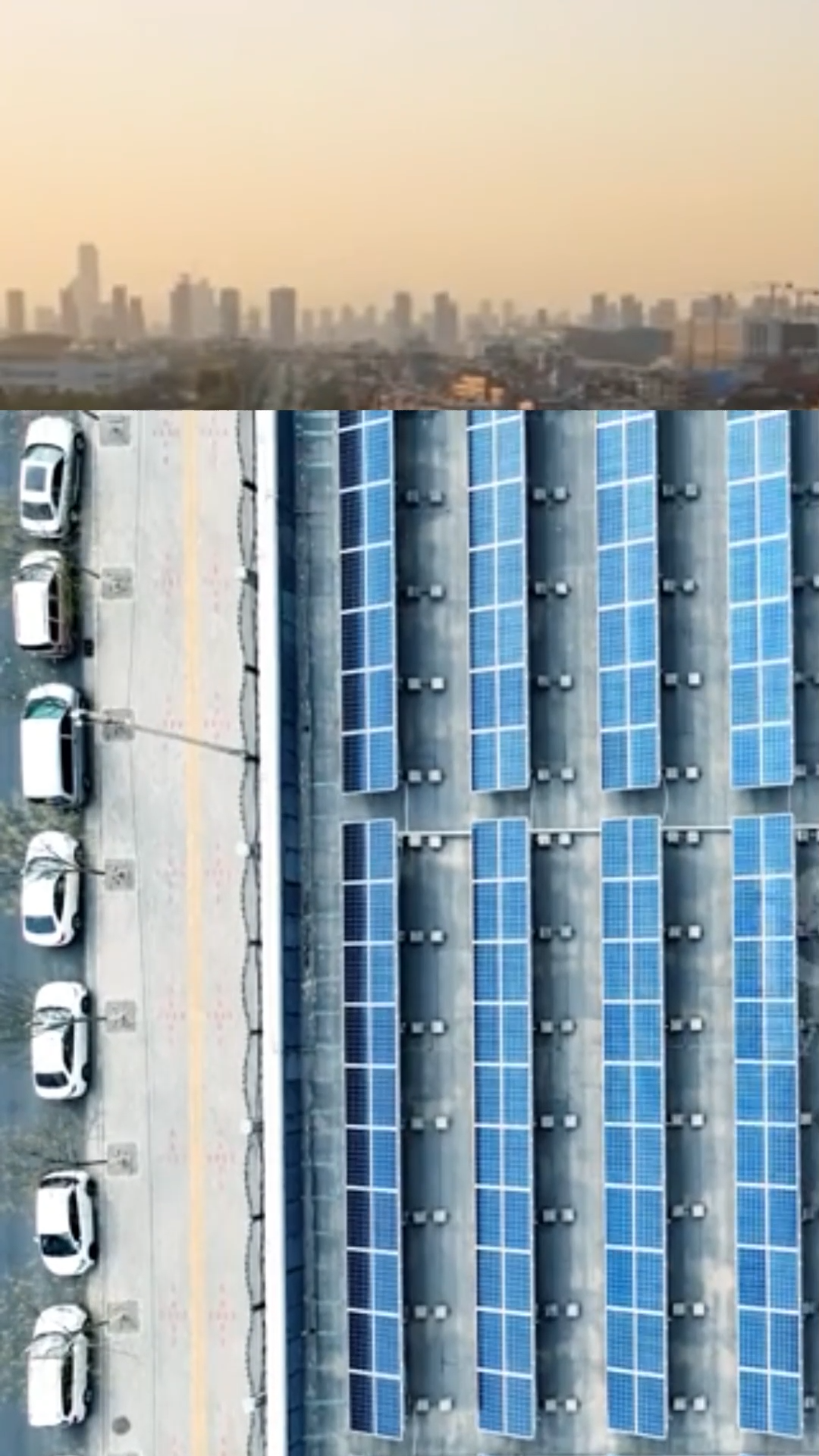 SĂN ĐÁY BẠC: KÈO THƠM HAY BẪY?