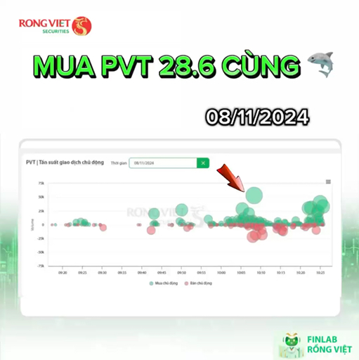 Mua PVT cùng cá mập 